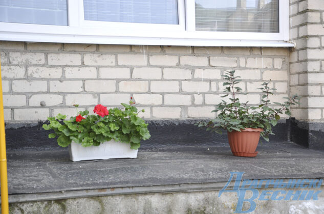 Красота для всех. Как жительница многоэтажки благоустроила свой двор