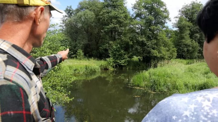 Были и школа, и конюшня, и магазин. Куда уходит жизнь из деревень