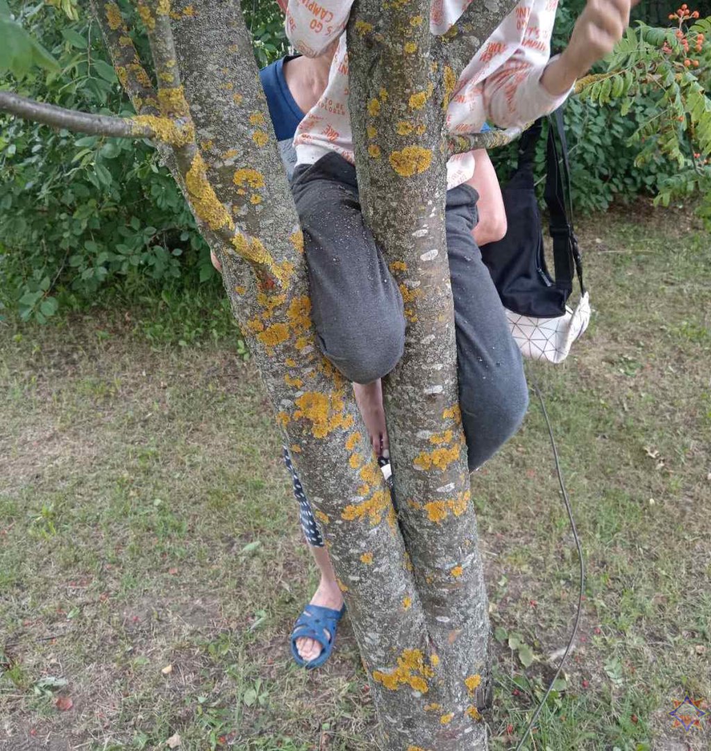 Нога мальчика застряла в дереве: помогли спасатели