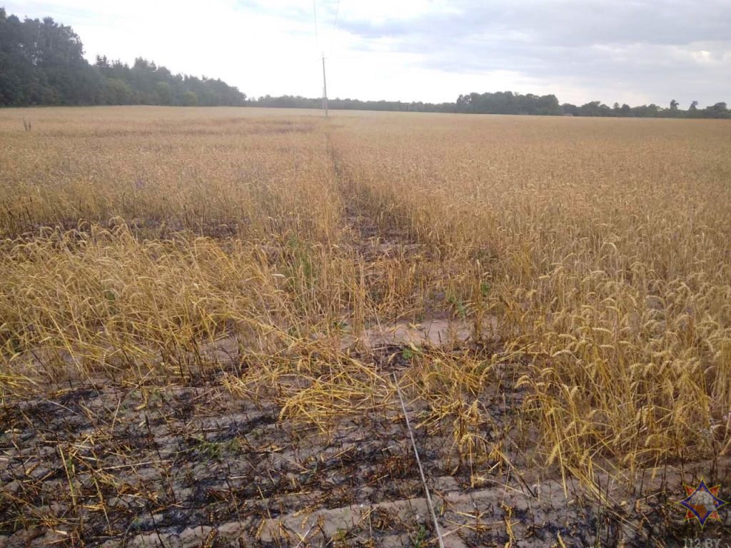 В Каменецком районе работники МЧС спасли более 120 га посевов озимой пшеницы