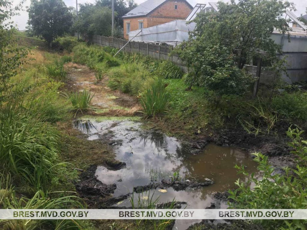 В Столинском районе травмирован водитель трактора