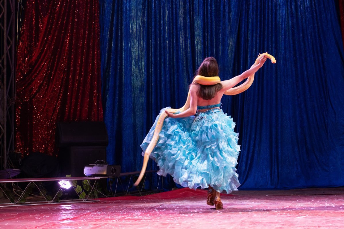 ВПЕРВЫЕ! Цирк-шапито «SIRIUS» представит в Бресте новое экстрим-шоу «Колумбийский форсаж»