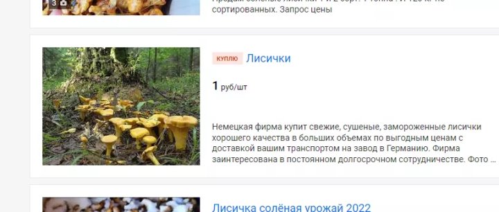 В четыре раза дороже: белорусские лисички появились в магазинах Германии