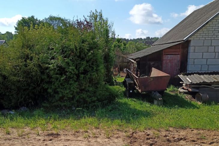 В Кобринском районе украли ботвоудалитель — подозреваемого помог найти след от автомобиля
