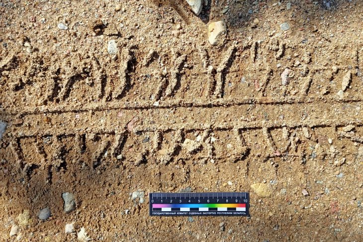 В Кобринском районе украли ботвоудалитель — подозреваемого помог найти след от автомобиля