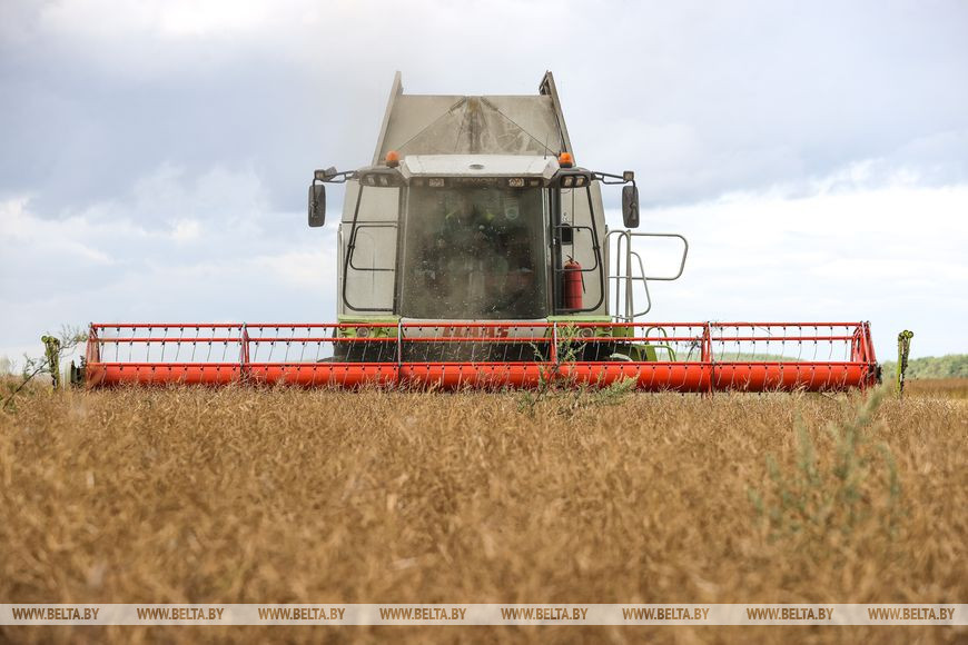 Первого в Брестской области водителя-двухтысячника чествовали в ОАО «Беловежский»