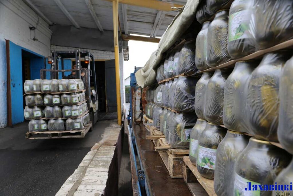 Глядзіце, як на Ляхавіцкім кансервавым заводзе закручваюць маласольныя агуркі