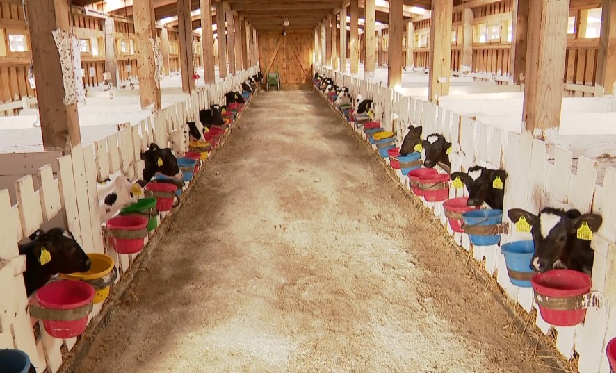 Фото: Генеральная прокуратура