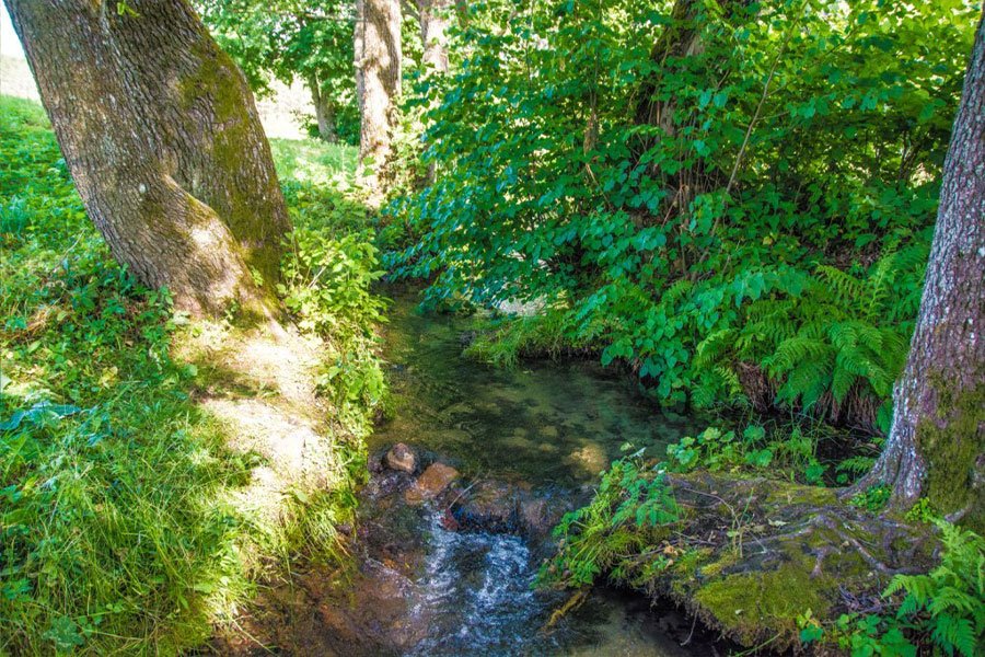 Созданные природой: топ-10 святых криниц Беларуси