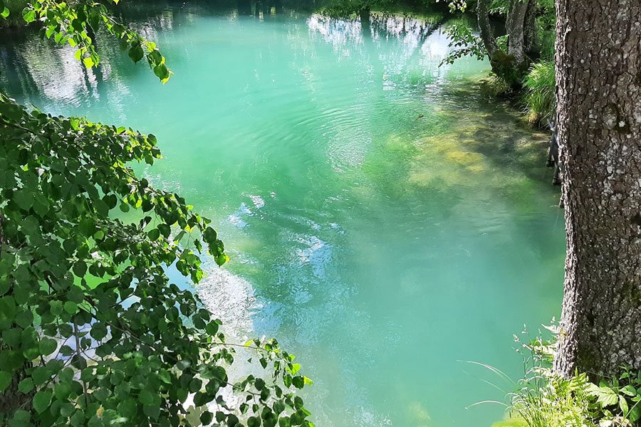 Созданные природой: топ-10 святых криниц Беларуси