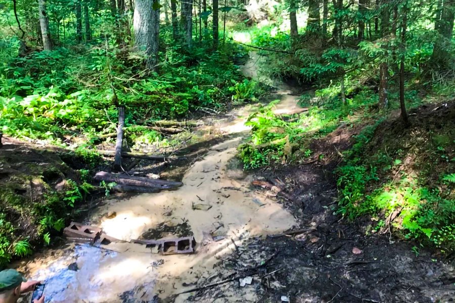 Созданные природой: топ-10 святых криниц Беларуси