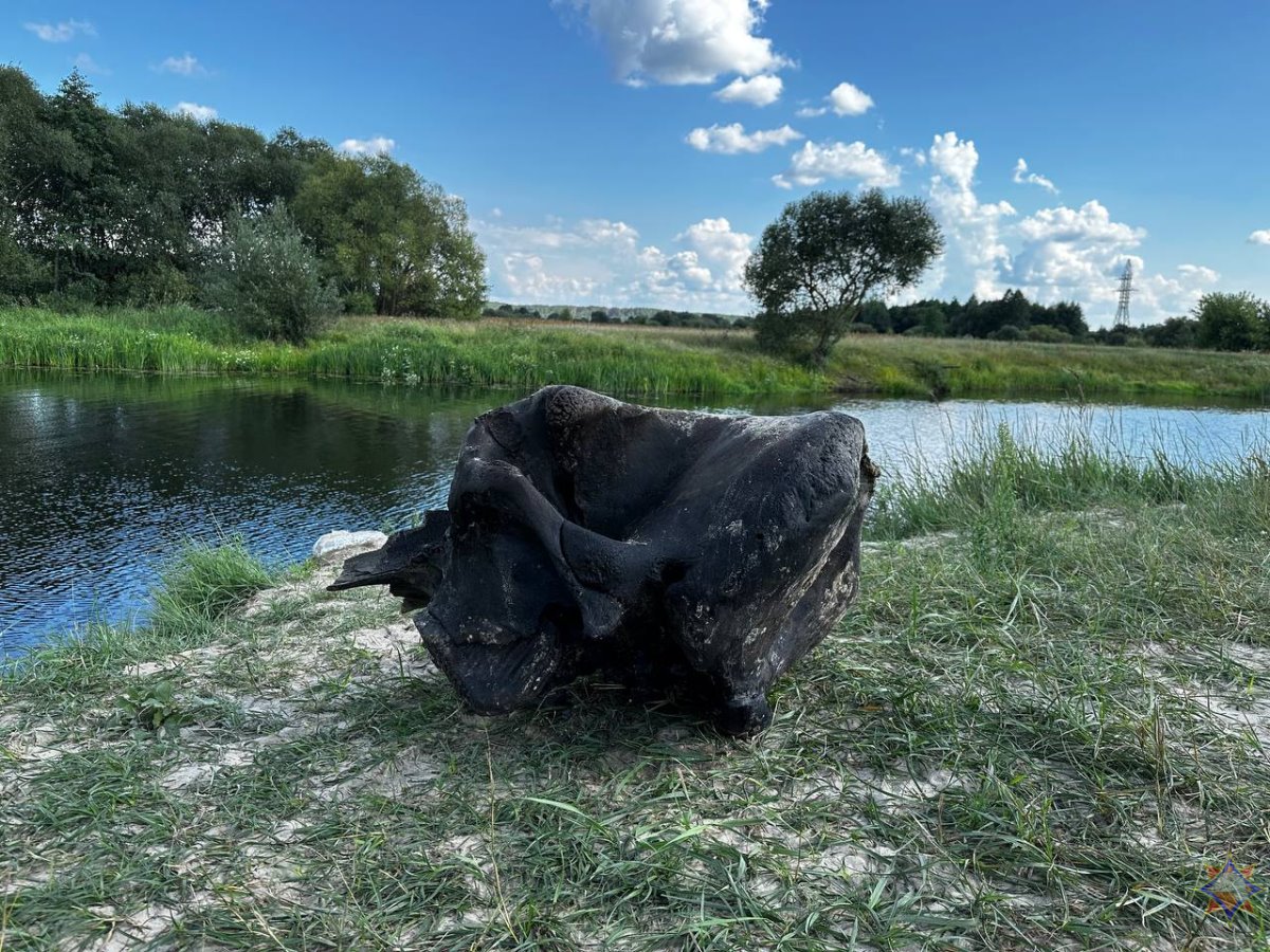 В Беларуси нашли останки мамонта