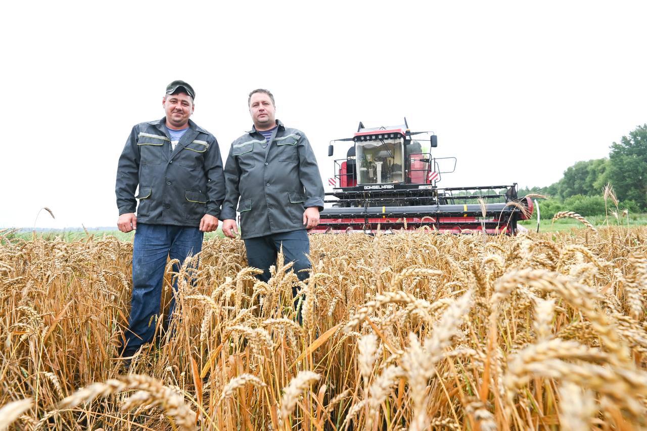 Экипаж комбайнеров из Столинского района первым в Брестской области намолотил 2 тыс. тонн зерна