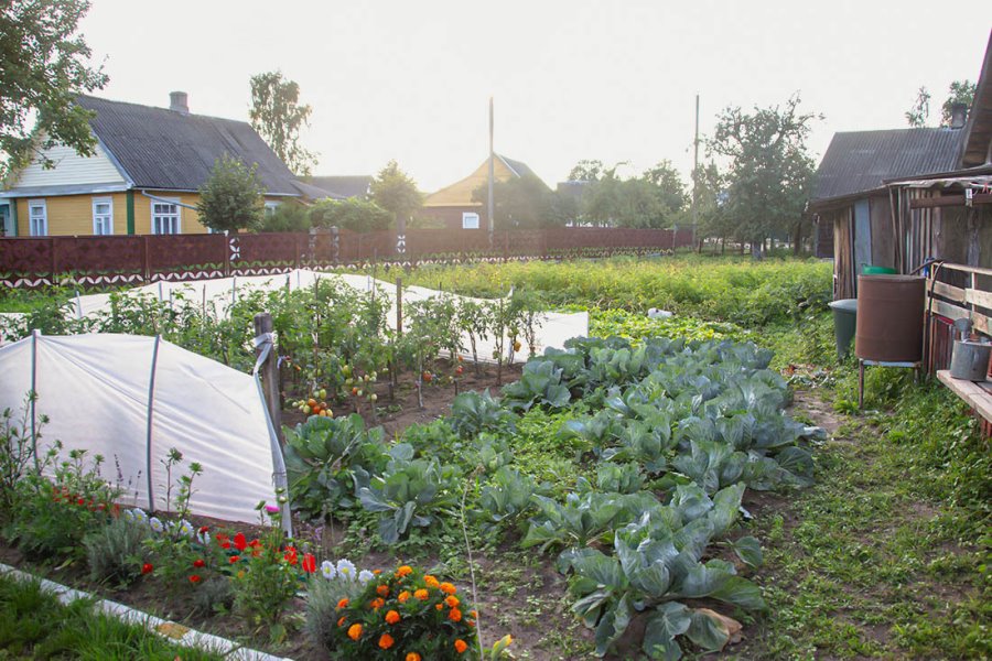 Почему гражданка Польши решила оставить все и переехать жить в Беларусь? История Эвы и ее супруга