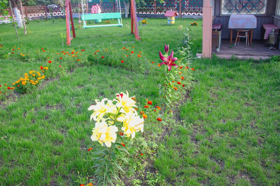 Почему гражданка Польши решила оставить все и переехать жить в Беларусь? История Эвы и ее супруга