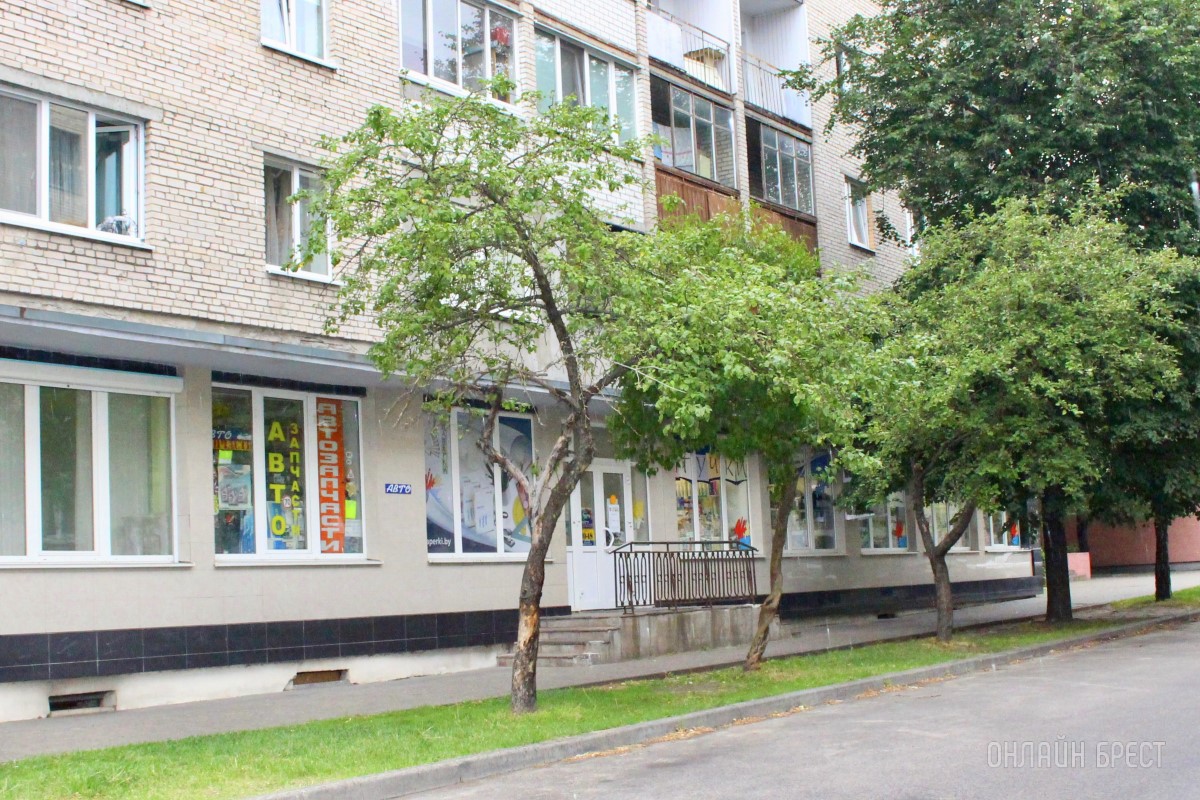 Веселые пчОлсы дарят подарки! Выгодная акция в магазинах «Канцелярские штучки» в Бресте: покупай и выигрывай