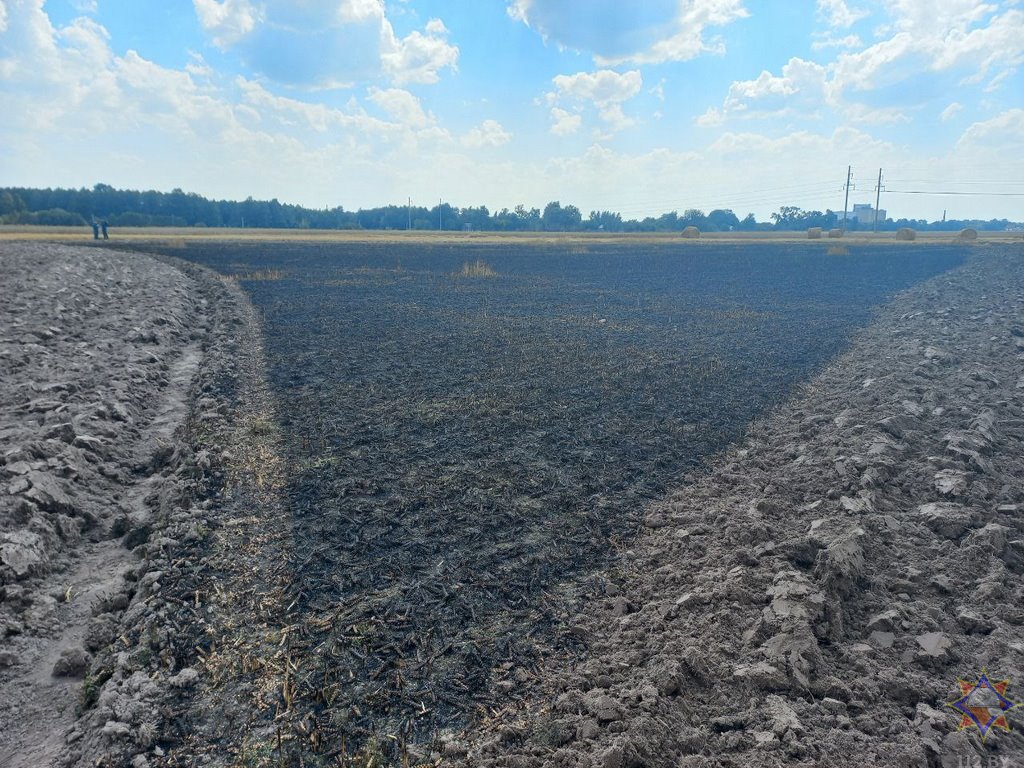 В Дрогичинском районе спасены 60 га посевов озимой пшеницы