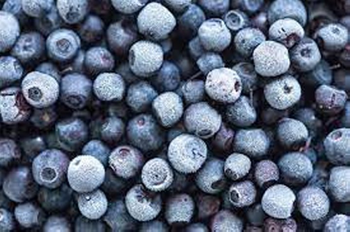 Фото из открытых источников (иллюстративное)