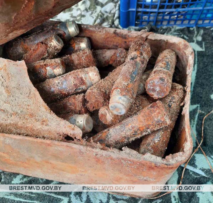 В Бресте мужчина обнаружил боеприпасы во время сбора грибов