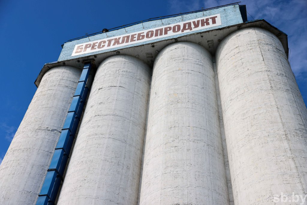 Приемка зерновых в Бресте. Фоторепортаж