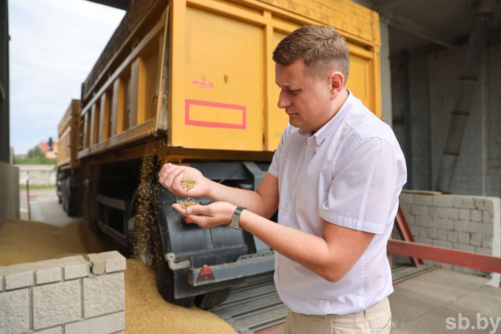 Приемка зерновых в Бресте. Фоторепортаж
