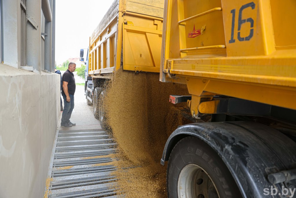 Приемка зерновых в Бресте. Фоторепортаж