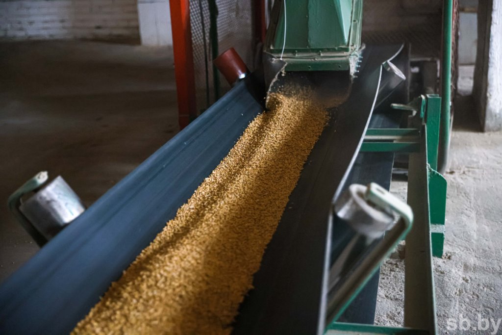 Приемка зерновых в Бресте. Фоторепортаж
