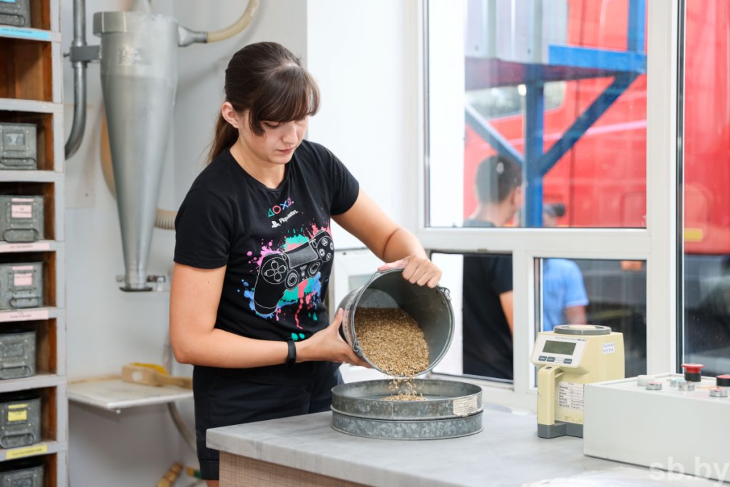 Приемка зерновых в Бресте. Фоторепортаж