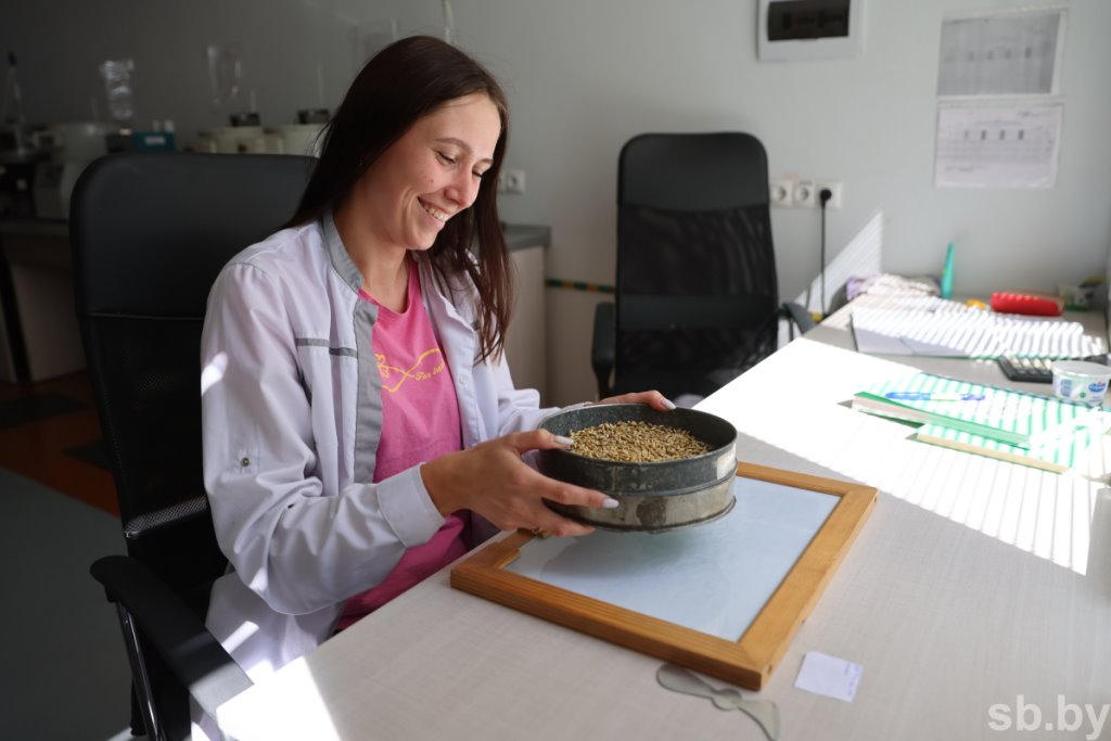 Приемка зерновых в Бресте. Фоторепортаж