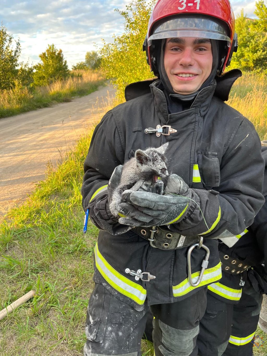 Спасатели достали котенка, упавшего в трубу от забора. Смотрите видео спасения