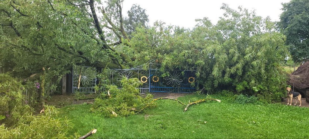 В МЧС рассказали, что натворила непогода в Брестской области