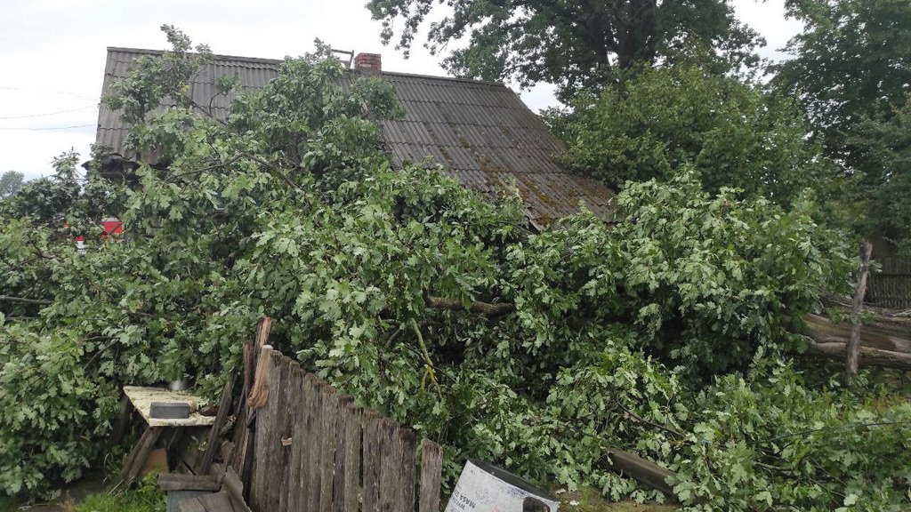 В МЧС рассказали, что натворила непогода в Брестской области