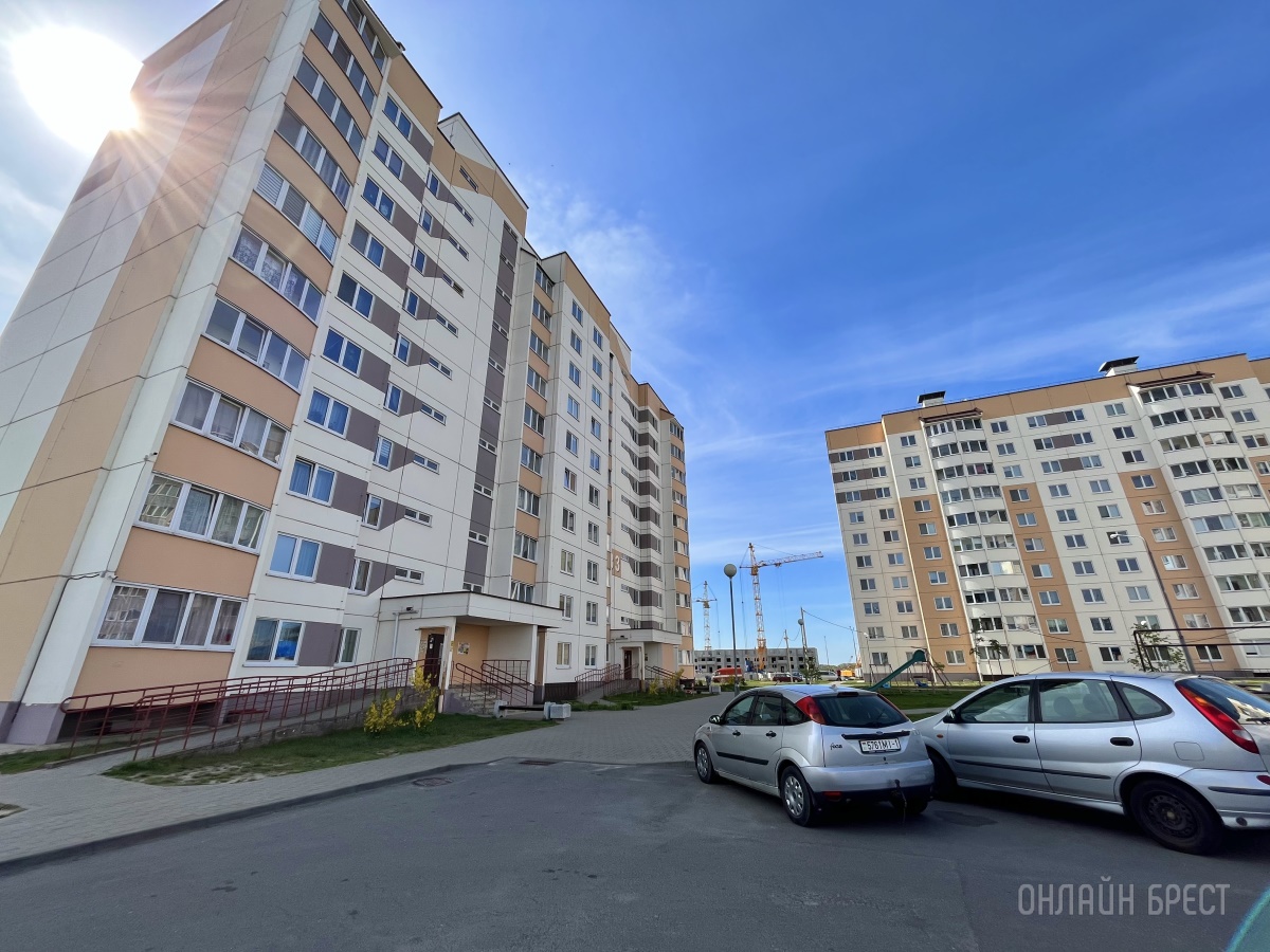 ГИГАНТСКИЕ СОБАКИ. Сколько денег уходит на содержание двух 60-килограммовых собак в панельной трёшке в Бресте?