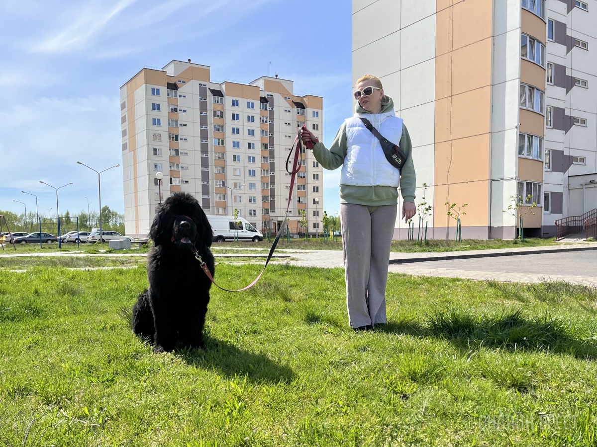 ГИГАНТСКИЕ СОБАКИ. Сколько денег уходит на содержание двух 60-килограммовых собак в панельной трёшке в Бресте?