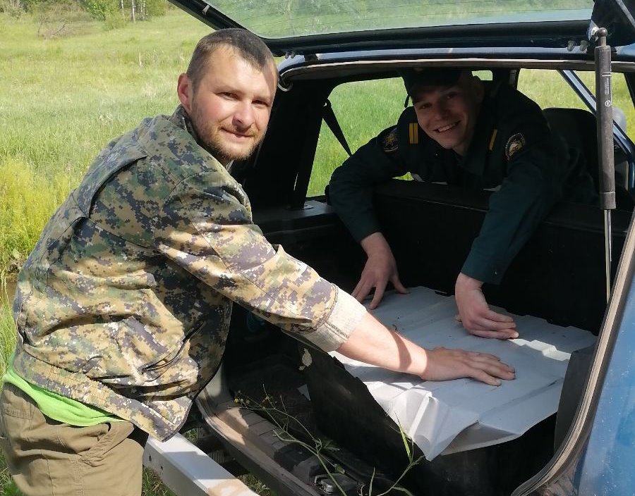 Бобер несколько дней терроризировал бобруйскую деревню. Как его поймали?