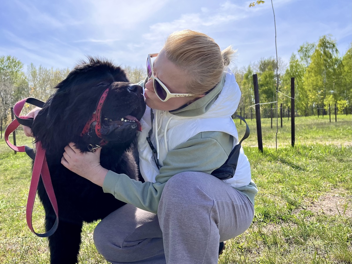 ГИГАНТСКИЕ СОБАКИ. Сколько денег уходит на содержание двух 60-килограммовых собак в панельной трёшке в Бресте?