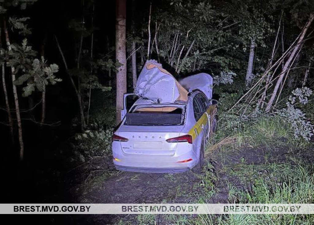 Выбежавший на дорогу лось спровоцировал ДТП в Лунинецком районе