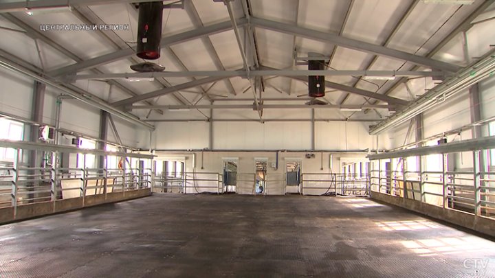 От дойки до прилавка. Вот какой путь проходит молоко, чтобы попасть в магазин