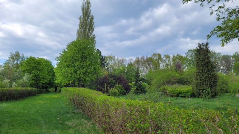 Из Северной Америки и Дальнего Востока – растения со всех уголков мира в Брестском дендрарии