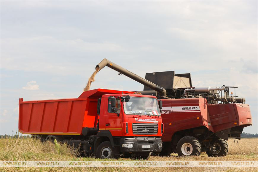 Брестский район собрал рекордный урожай зерновых