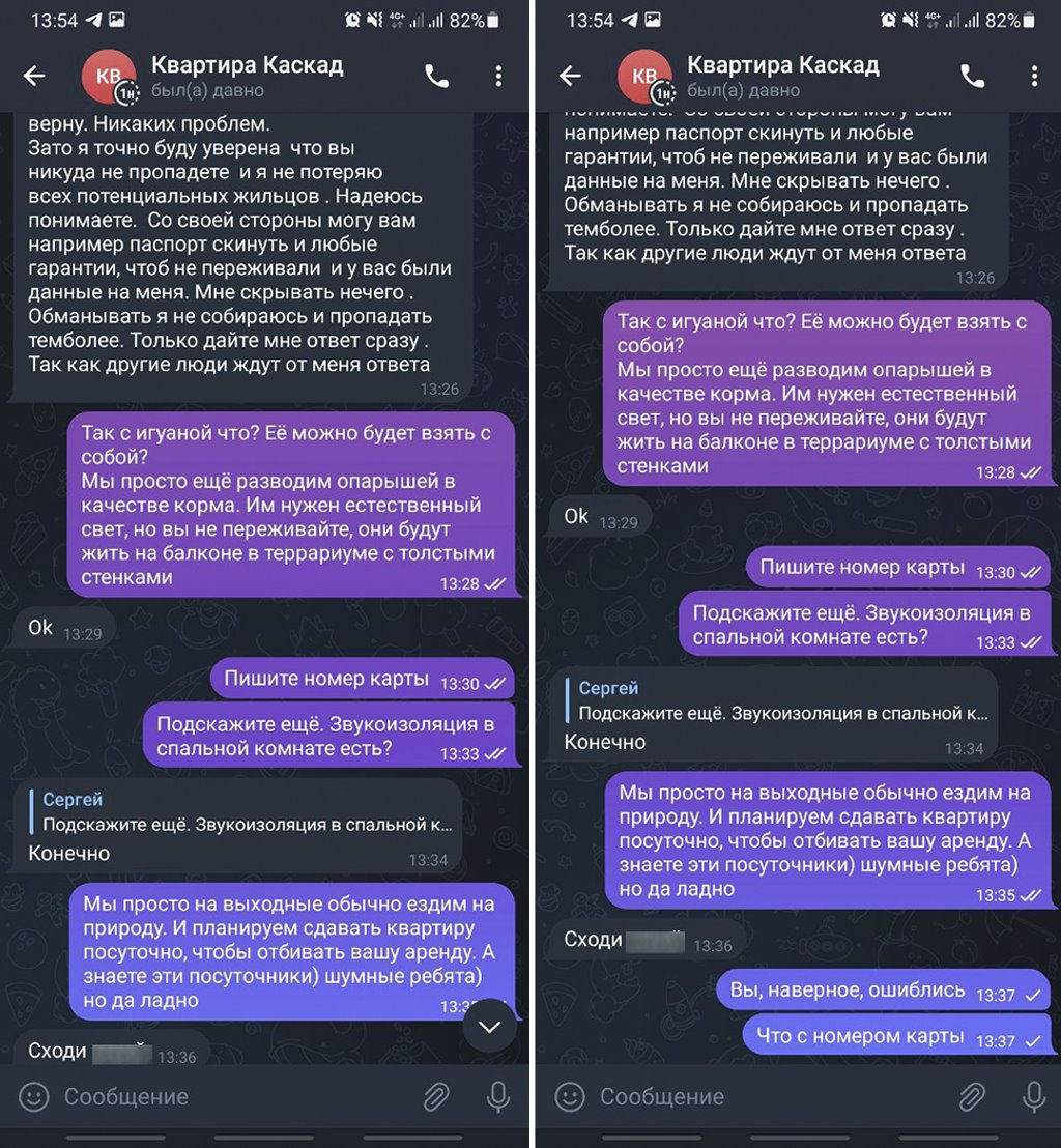 «У нас домашняя игуана, это не будет проблемой?» Белорус довел квартирных аферистов