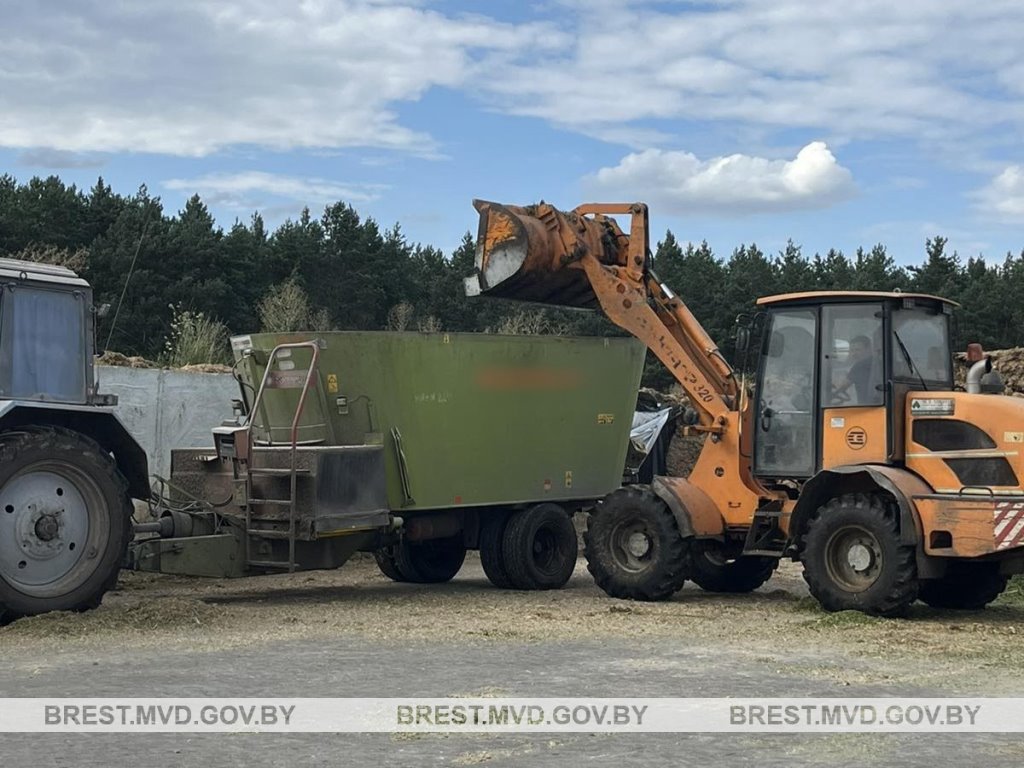 Возле Бреста уничтожено около 1800 килограммов дикорастущей конопли