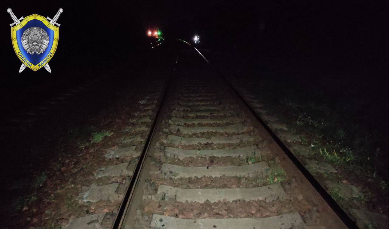 Предположительно, она была в наушниках. Под колесами поезда погибла 12-летняя школьница