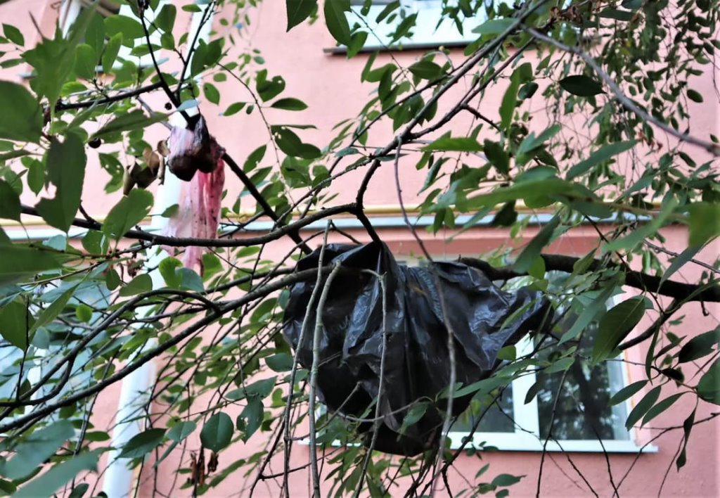 «Льют на головы помои и кипяток!» В Молодечно пенсионеры и подростки устроили дворовые войны