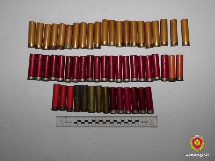 Жительница Брестского района купила квартиру и нашла там патроны