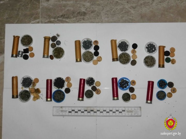 Жительница Брестского района купила квартиру и нашла там патроны