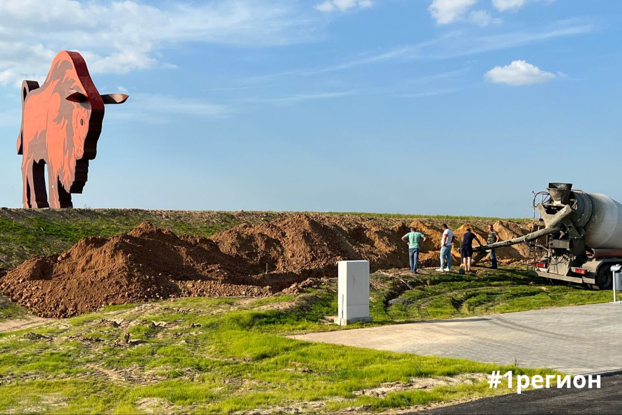 У одной из главных достопримечательностей Первого региона – зубра на границе Брестской и Минской областей оборудована парковка