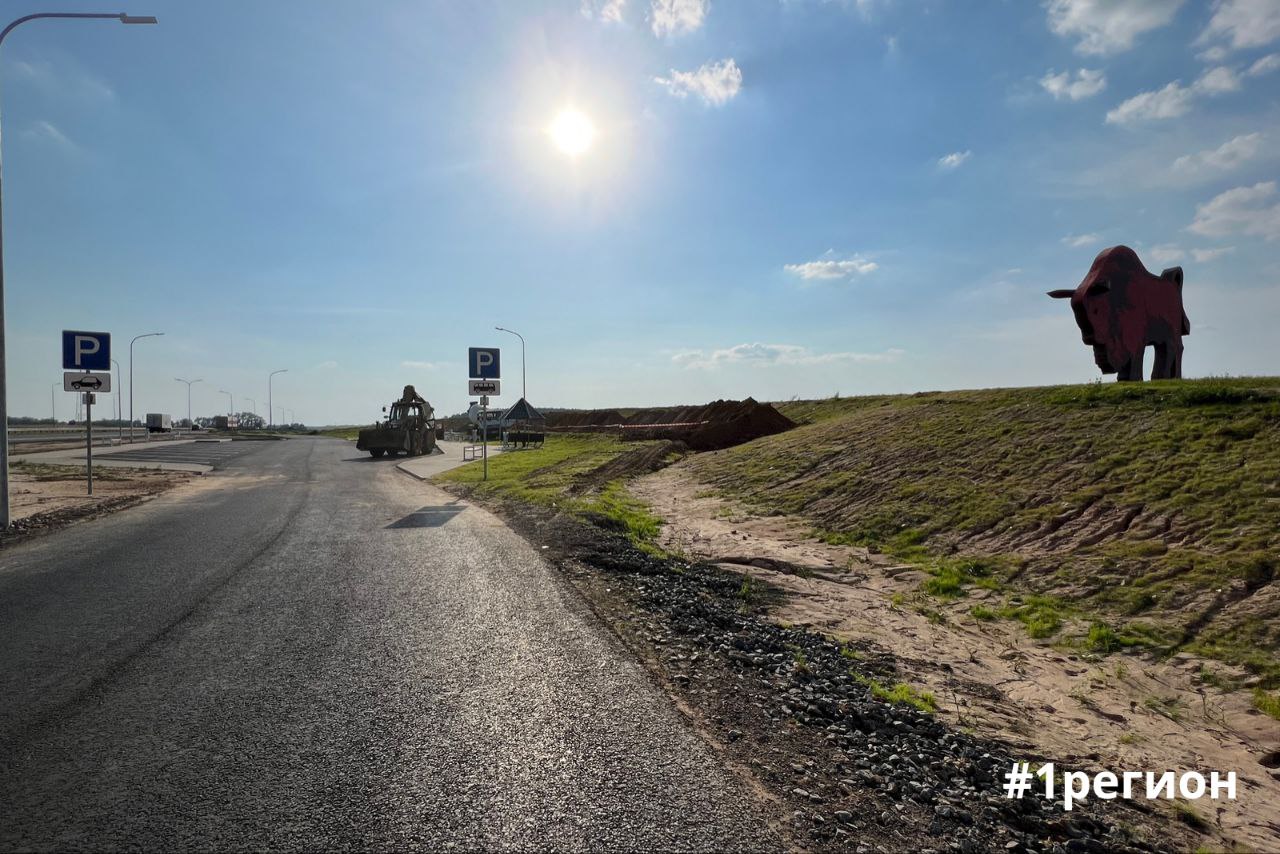 У одной из главных достопримечательностей Первого региона – зубра на границе Брестской и Минской областей оборудована парковка