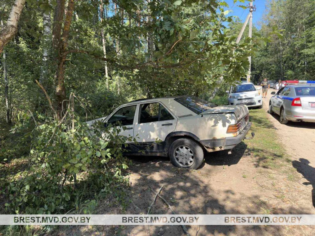 В Брестской области Mercedes врезался в дерево