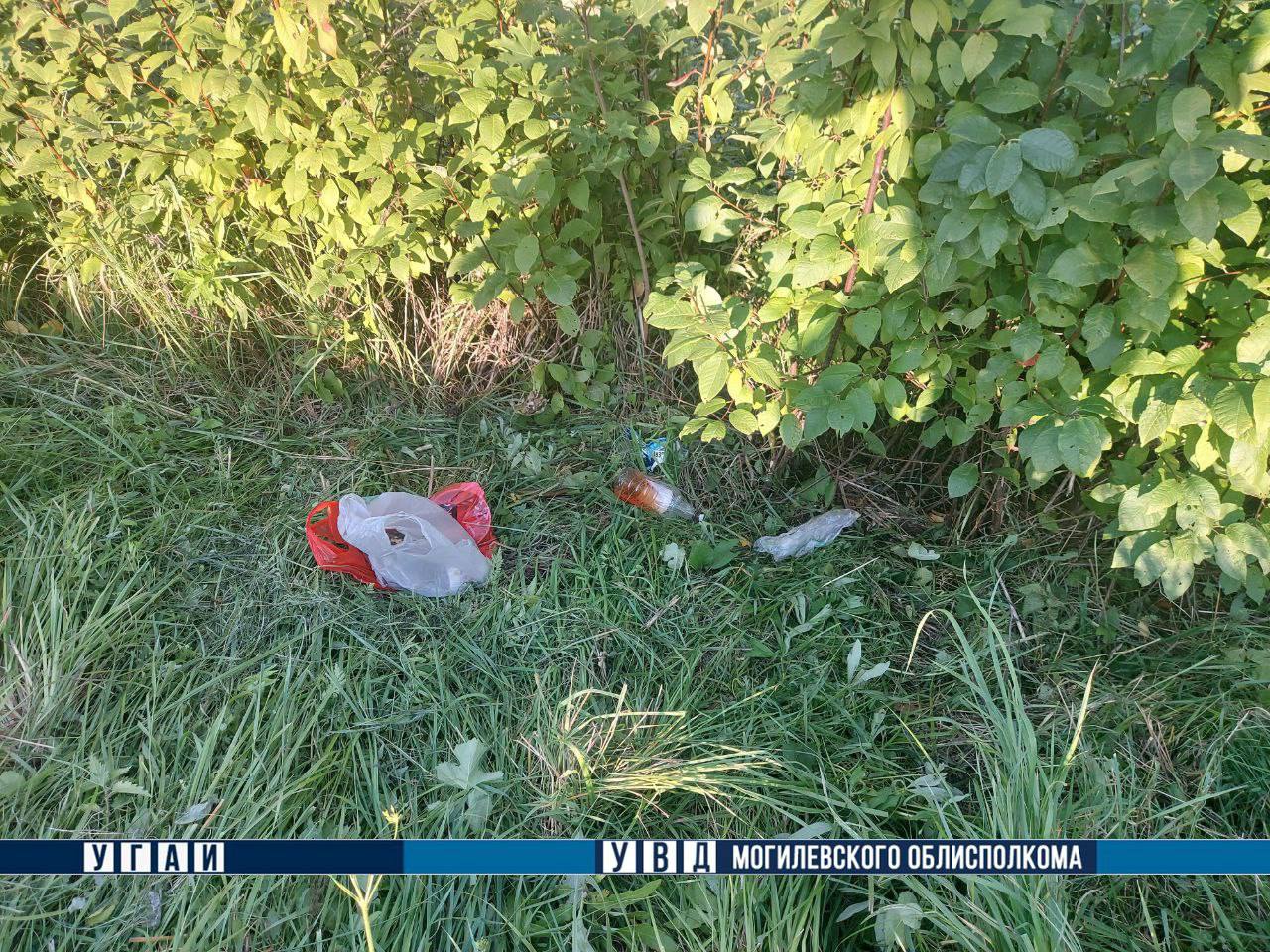 Под Могилевом трактор, косивший траву, зацепил нетрезвую женщину, которая находилась в кювете